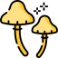 mushroom (2)